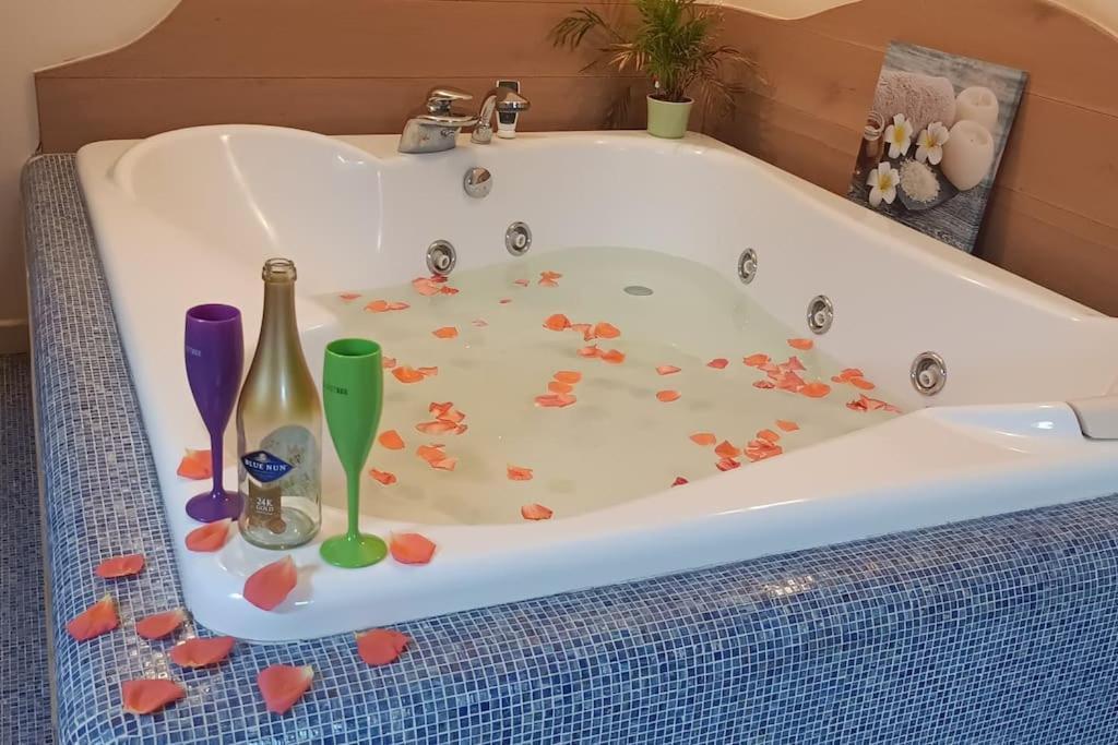 Central Terrace Escape With Jacuzzi Тимишоара Экстерьер фото