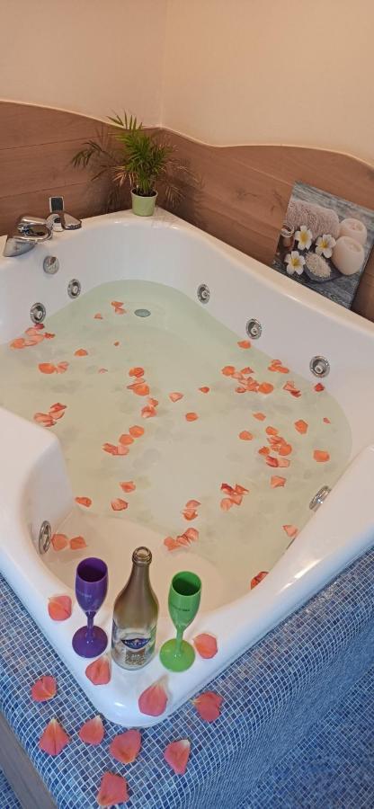 Central Terrace Escape With Jacuzzi Тимишоара Экстерьер фото