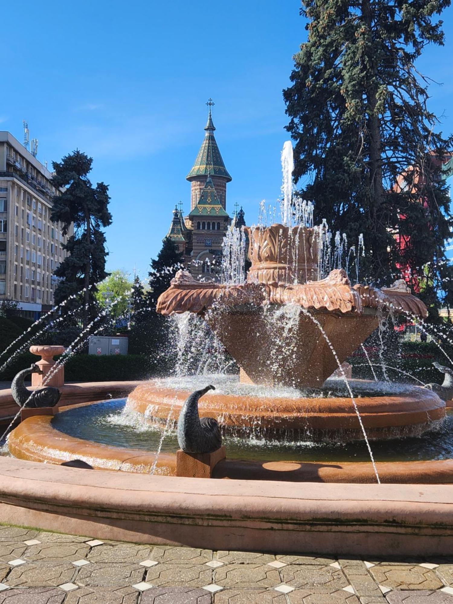 Central Terrace Escape With Jacuzzi Тимишоара Экстерьер фото