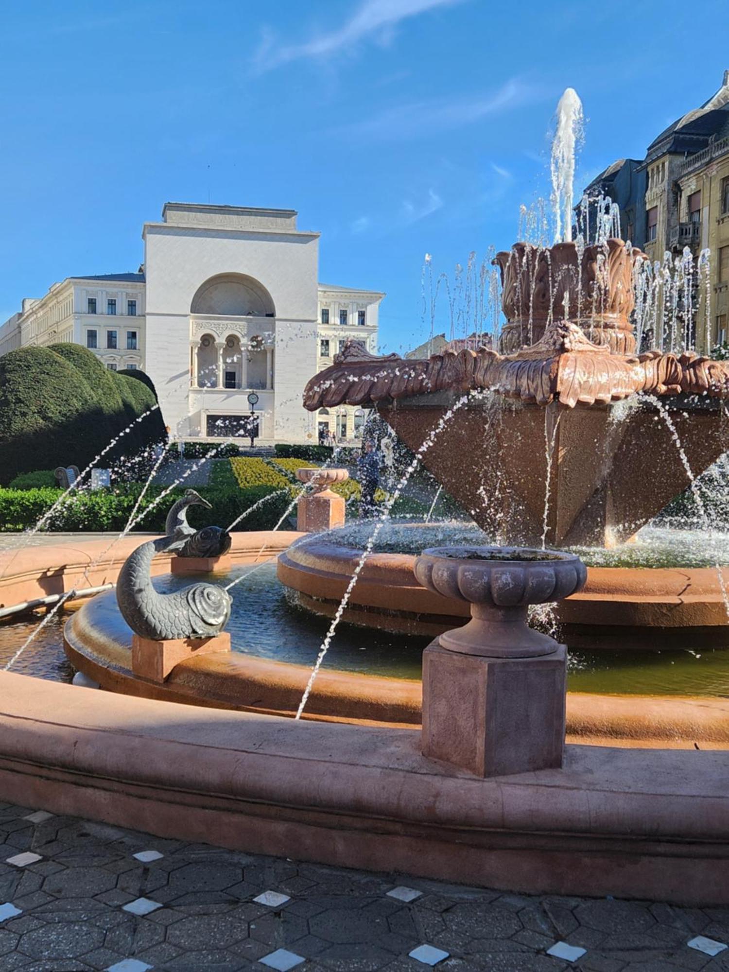 Central Terrace Escape With Jacuzzi Тимишоара Экстерьер фото